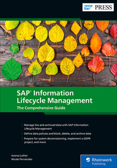 SAP Information Lifecycle Management