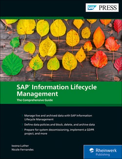 SAP Information Lifecycle Management