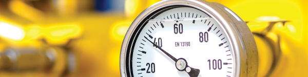 SAP HANA Newsletter