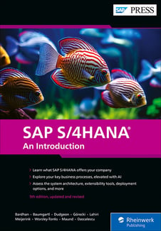 SAP S/4HANA: An Introduction