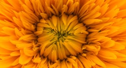5 Golden Rules for Implementing SAP S4HANA with SAP Activate