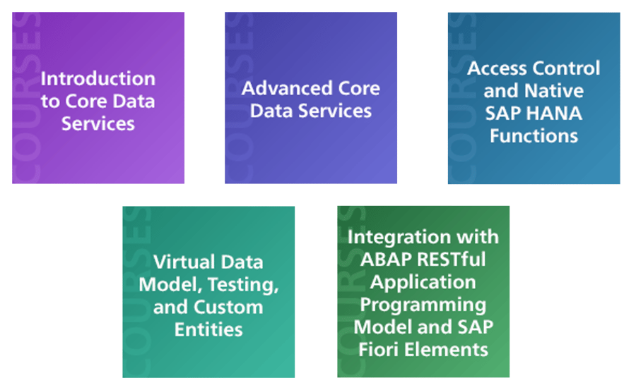 CDS Courses