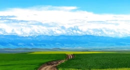 How to Best Navigate the Journey to SAP S/4HANA