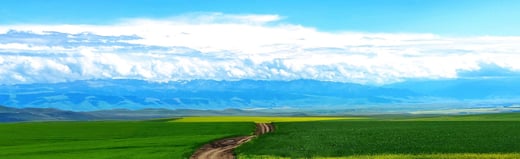 How to Best Navigate the Journey to SAP S/4HANA