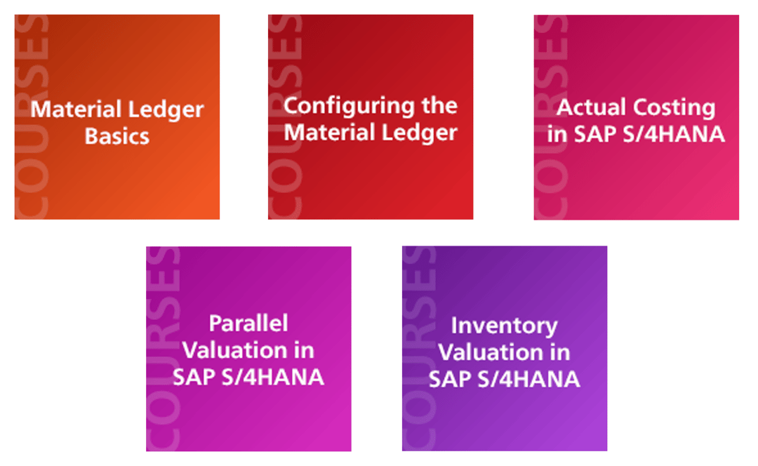 Material Ledger Course 5 Day Layout