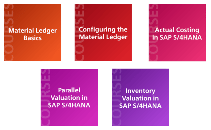 Material Ledger Courses