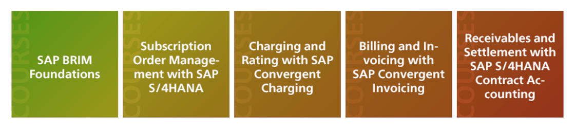 SAP BRIM 5 Day Layout