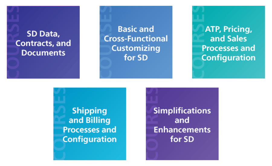 SD Course Daily Topics