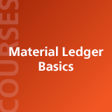 Material Ledger Basics