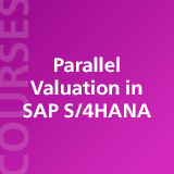 Parallel Valuation in SAP S/4HANA