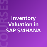 Inventory Valuation in SAP S/4HANA