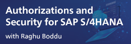 Authorizations and Security for SAP S/4HANA