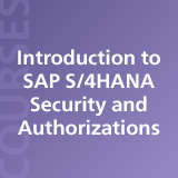 Introduction to SAP S/4HANA Security and Authorizations