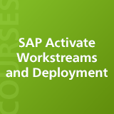 email_courses_024_SAP_Activate_thumbnail_individual_02