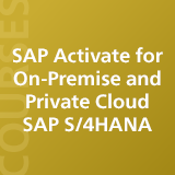 email_courses_024_SAP_Activate_thumbnail_individual_03