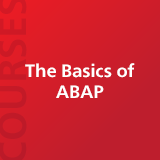 The Basics of ABAP