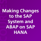 Making Changes to the SAP System and ABAP on SAP HANA