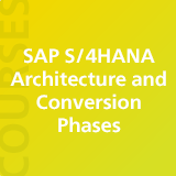 SAP S/4HANA Architecture and Conversion Phases