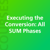 Executing the Conversion: All SUM Phases