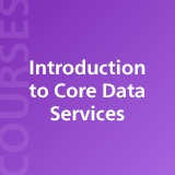 Introduction to Core Data Services