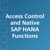 Access Control and Native SAP HANA Functions