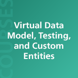 Virtual Data Model, Testing, and Custom and Abstract Entities