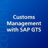 Customs Management with SAP GTS