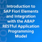 Introducing to SAP Fiori Elements