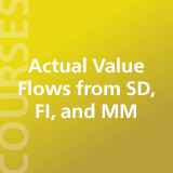 Actual Value Flows from SAP, FI, and MM