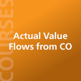 Actual Value Flows from CO