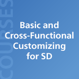 Basic and Cross-Functional Customizing for SD