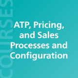 ATP, Pricing, and Sales Processes and Configuration