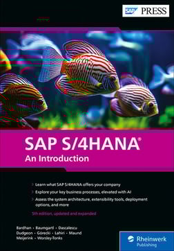 SAP S/4HANA: An Introduction