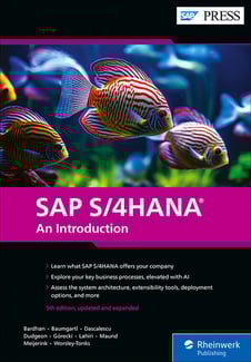 SAP S/4HANA: An Introduction